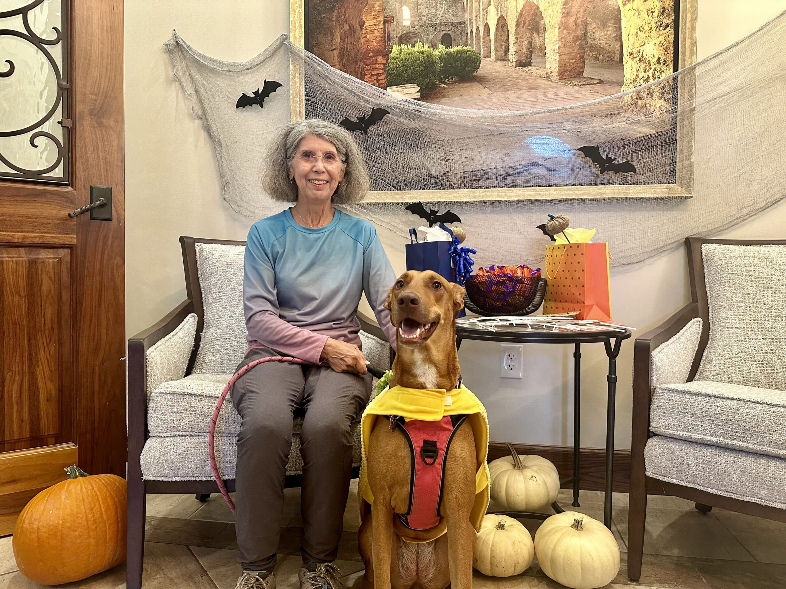 Best Dog Costume: Elia and Athena Keck - Taco Dog!